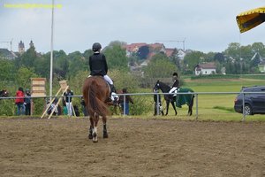 nik_016593_poohungo.jpg