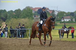 nik_016603_wietogah.jpg