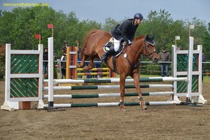 nik_016609_ophiecoh.jpg