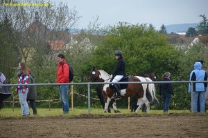 nik_016613_geighohn.jpg