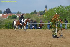 nik_016626_ooviegae.jpg