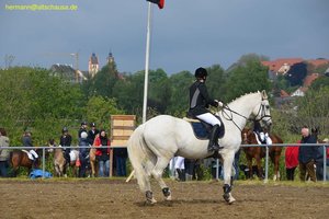 nik_016632_wirohngu.jpg