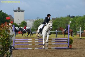 nik_016638_araleech.jpg