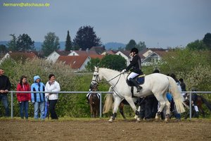 nik_016640_fiebieku.jpg