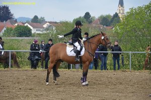 nik_016649_sheesoht.jpg