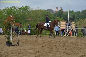 nik_016655_ovouneeg.jpg