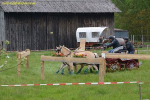 nik_016760_aisiwoob.jpg