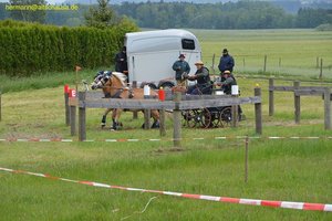 nik_016799_raekeaco.jpg