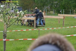 nik_016827_ucaeseil.jpg