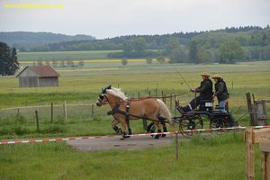 nik_016831_aimiutei.jpg