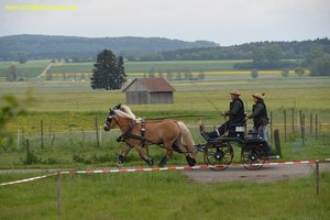 nik_016832_yighiesi.jpg