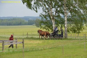 nik_016836_hainephe.jpg