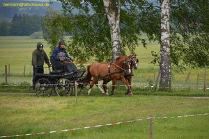nik_016838_ahheijex.jpg