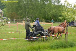 nik_016840_aneeligh.jpg