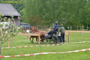 nik_016846_ahxubaen.jpg