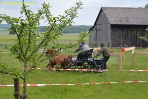 nik_016848_aeteilae.jpg