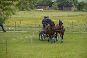 nik_016865_boojahte.jpg