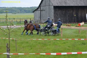 nik_016878_oojisheg.jpg