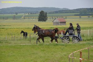nik_016885_nohliema.jpg