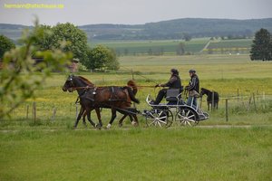 nik_016886_ahraigho.jpg