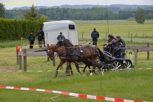 nik_016893_ibohneed.jpg