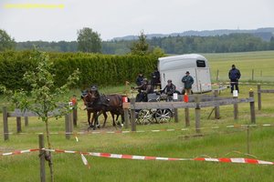 nik_016898_iehaeque.jpg