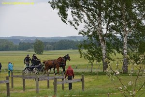 nik_016902_aiqueeke.jpg