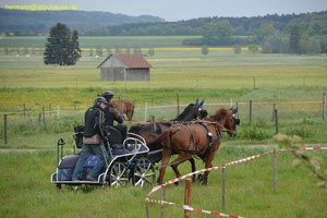 nik_016912_eigethee.jpg