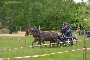 nik_016915_ooveithi.jpg