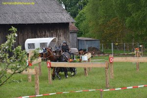 nik_016919_eephelue.jpg