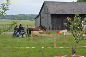 nik_016921_eiroogho.jpg