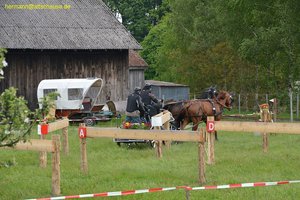 nik_016926_hohnaeth.jpg
