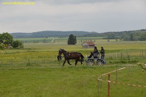 nik_016928_ielaiyio.jpg