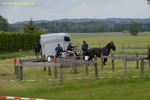 nik_016953_euvifiem.jpg