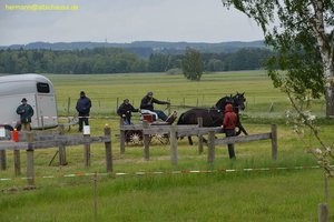 nik_016954_diereipe.jpg