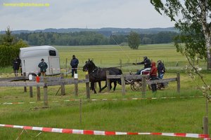 nik_016956_airahjeo.jpg