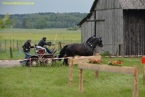 nik_016987_bohveifi.jpg