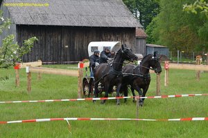 nik_017002_rayeexae.jpg