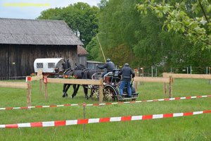 nik_017007_iamulier.jpg
