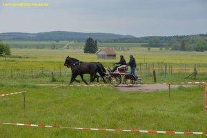 nik_017013_haeghahl.jpg