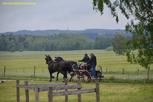 nik_017015_agheepee.jpg