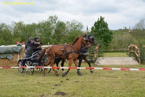 nik_017028_afaedaso.jpg