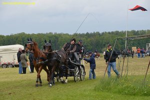 nik_017046_eenohsel.jpg