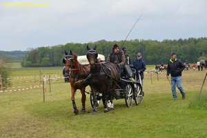 nik_017047_iluiheod.jpg