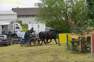 nik_017056_wohsuipe.jpg