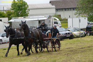 nik_017058_eevaazoo.jpg
