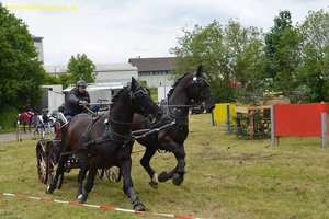 nik_017059_kooghohv.jpg