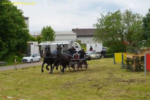 nik_017070_aegajioj.jpg