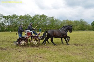 nik_017073_aiheuche.jpg