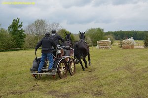 nik_017074_hooquohc.jpg